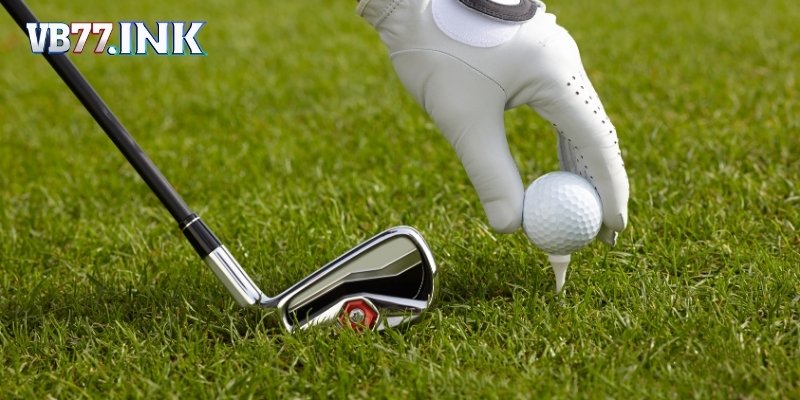 Cá Cược Golf VB77 – Cơ Hội Sinh Lời Từ Môn Thể Thao Quý Tộc