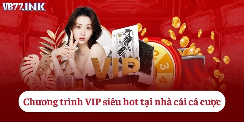 Chương trình VIP mang lại nhiều lợi ích riêng biệt